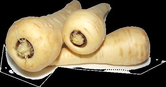 Kuullota sipuli pannulla öljyssä.