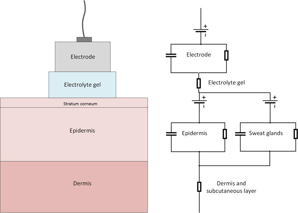 electrode s distance from the skin (Crawford and Doherty, 2011, pp. 33 36). Possible skin preparation steps include hair removal, washing by soap, and light abrasion.