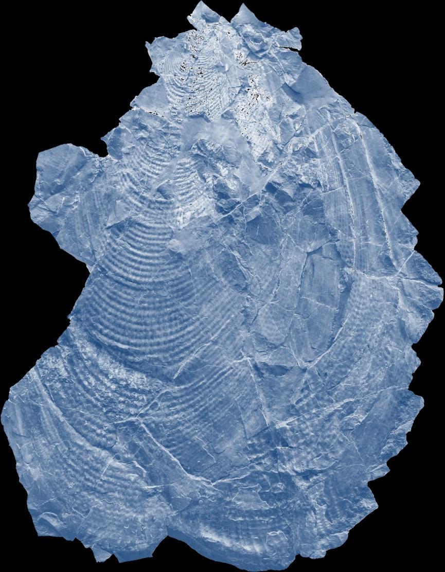 Uilungaatsiarsuaq 178 cm takissusilik 12 Qilakitsumi nassaaq. Aage V. Jensen-ip aningaasaateqarfianit aammalu Geologisk Museum-imit Pinngortitaleriffimmut tunissut.