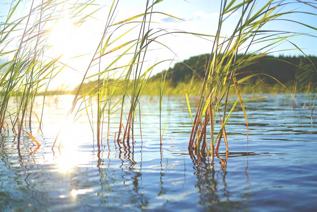 YHTEENVETO - Ilmastonmuutos esillä kaikissa ohjelmissa - Tietoa biodiversiteetin turvaamisesta maanomistajille ja kansalaisille - Biodiversiteetti voimakkaammin julkiseen