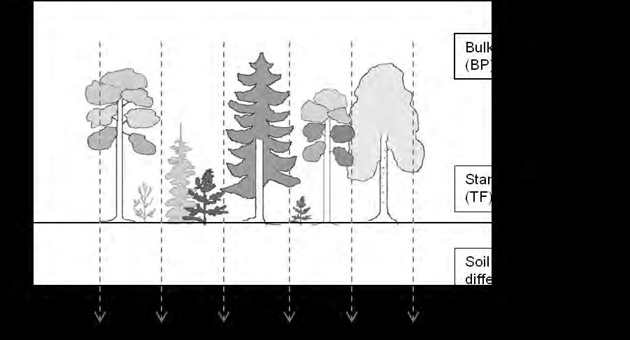 19 The soil solution samples were collected at predetermined intervals on Olkiluoto and sent to Rovaniemi by the staff of Posiva Oy.