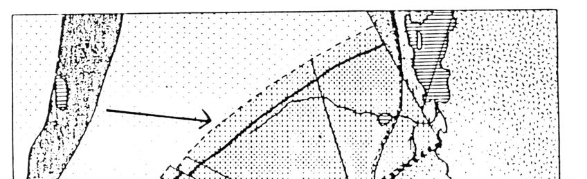 3 Kuva 2. Tutkimusalueen geologinen sijainti TUTKIMUSTULOKSET Lohkarekartoituksella paikannettiin 74 U-Mo-P-tyypin biotiitti-apatiittigneissilohkaretta.