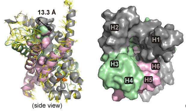 Model strukture beljakovine