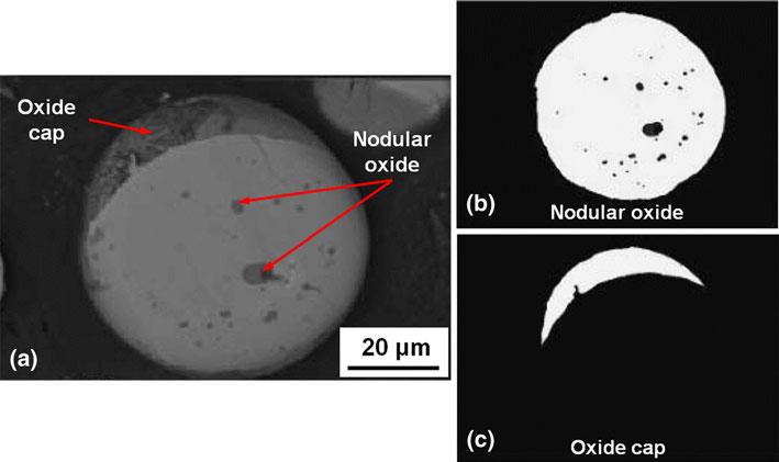 Fig. 6 (a) Micrograph of the polished cross sections of a collected particle and image treatment analysis of (b) nodular oxides, and (c) oxide cap (Adapted from Ref 70) In plasma spray, the in-flight