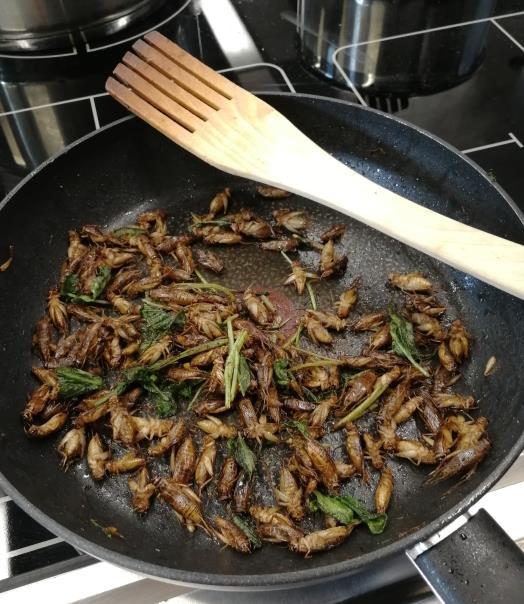 17 Hyönteiset kypsyvät Kaireniuksen (2018) mukaan nopeasti eri kypsentämismenetelmiä käyttäen: Keittäminen tai höyryttäminen Keittoaika 2 30min lajista riippuen.
