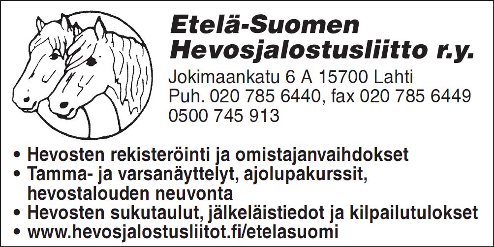 Kokonaisuus on kuitenkin kaikkein tärkein eikä siitä anneta erikseen pisteitä, mutta lautakunta havainnoi varsaa koko näyttelyn ajan.