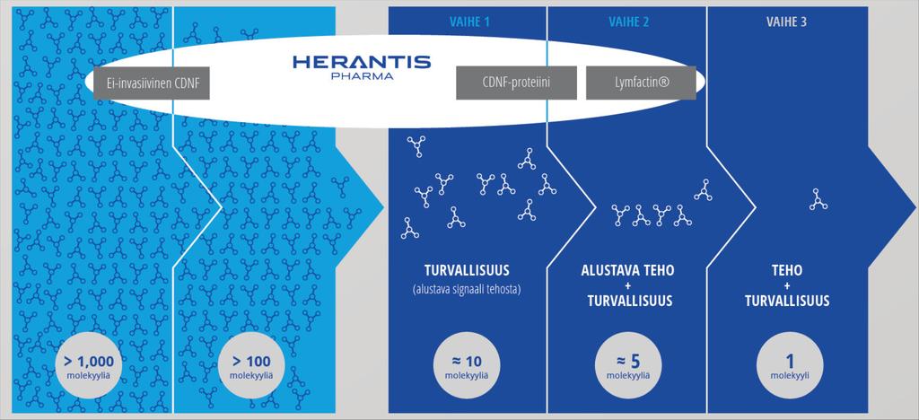 Lääkekehitys vaatii aikaa ja merkittävät resurssit 3-5 vuotta 6-10 vuotta Lääkemolekyylin seulonta Prekliiniset tutkimukset Ei-invasiivinen CDNF Tuhansia-kymmeniä