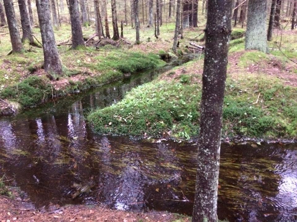 Suunnittelun aikataulu ja vaiheet Toimenpiteiden toteuttamiseen on riittävästi aikaa, mutta nykyresursseilla tämä on