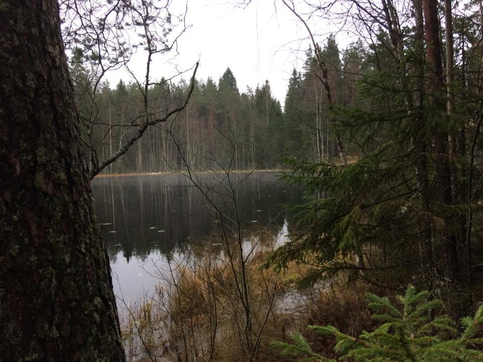 Vesimuodostumille asetetaan ympäristötavoitteet Tuodaan esiin, että toiminnanharjoittajien kannalta on tärkeää, että on