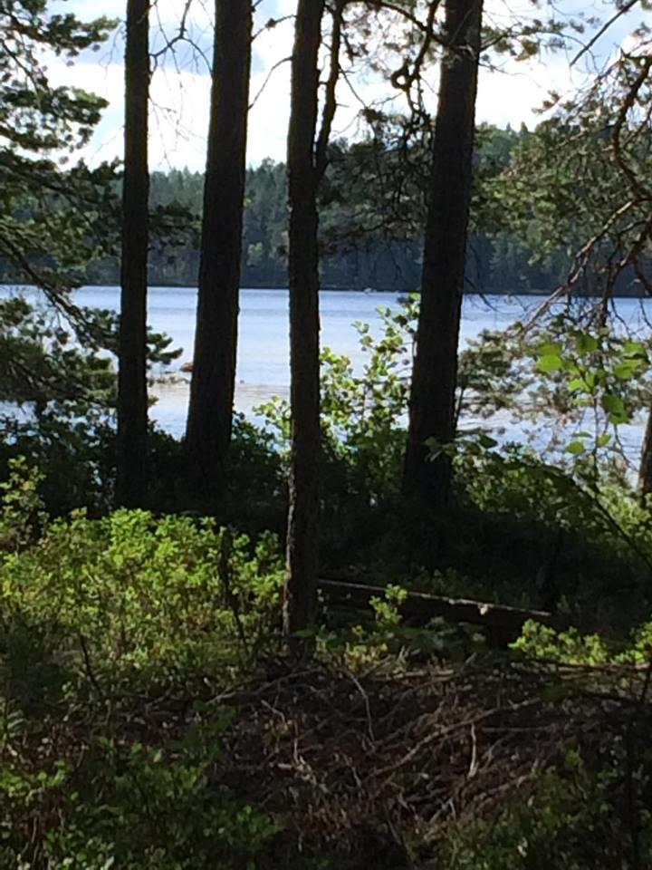 Ympäristövaikutusten arviointi Yhteiskunnan toiminnan ja ihmisten hyvinvoinnin kannalta merkittävimpien vaikutusten tulisi saada suurin painoarvo.