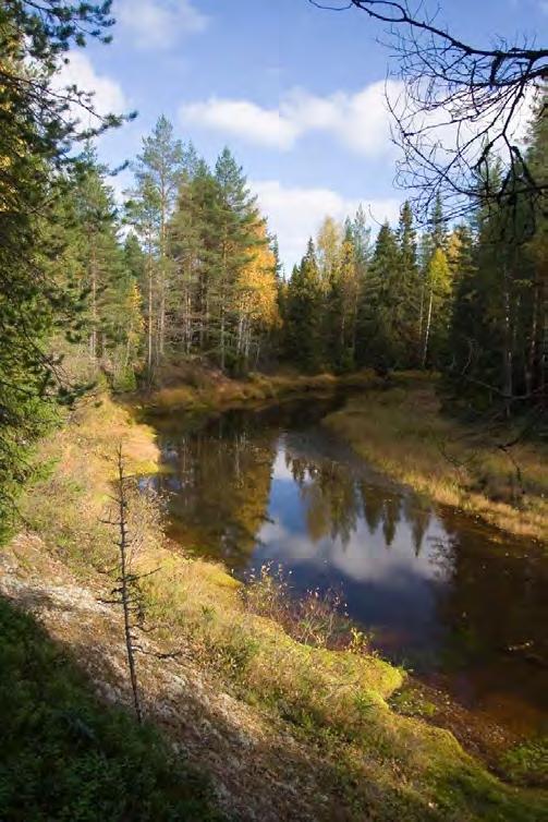 Tutkimus kansainvälisten matkailijoiden 360 -luontovideon käyttökokemuksista Tavoitteena ymmärtää paremmin 360 videoiden merkitystä luontomatkailun markkinoinnissa ja kuinka yritykset voisivat niitä