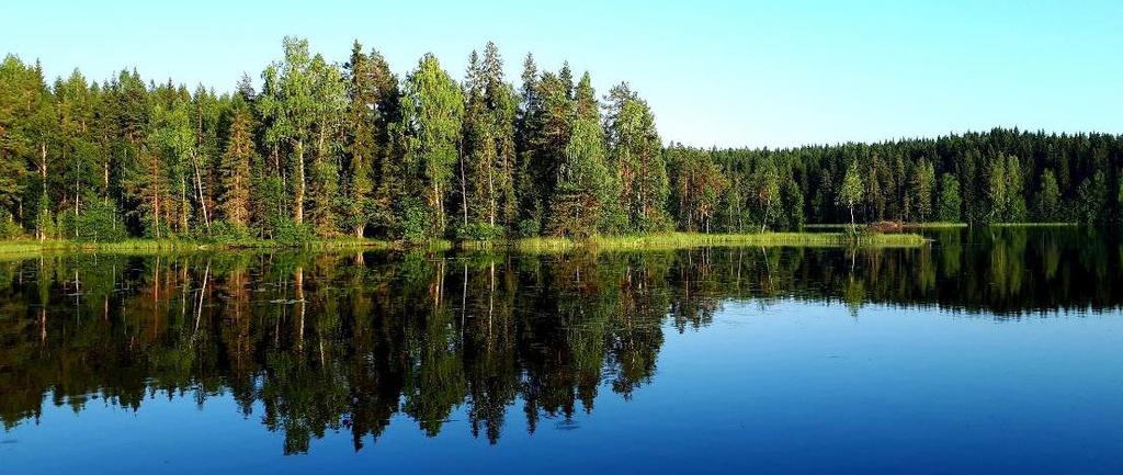 Alueellistamisen valmistelu, päätöksenteko, seuranta ja