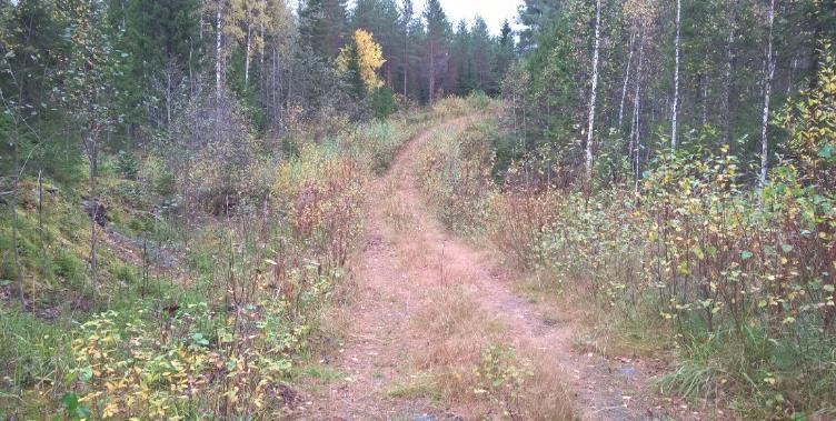 kustannuksissa Kemera-tuet perusparannukseen nousseet Kunnossapito ontuu ja korjausvelka kasvaa Koetaan kalliiksi - toimijakenttä