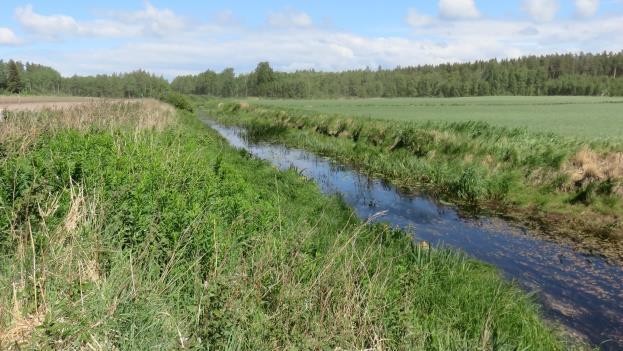 T201801 4 Kuvat 3 ja 4. Yllä on näkymä Ihodenjoen varrelta (vas.) ja peltokuviolta pohjoiseen (oik.) avautuvasta näkymästä.