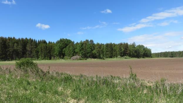 3 Selvitysalueen olemassa olevat suojelualueet ja muut huomioitavat kohteet Tarkistettujen lähtötietojen perusteella selvitysalueelle ei sijoitu luonnonsuojelualueita, kaavojen suojelualueita,