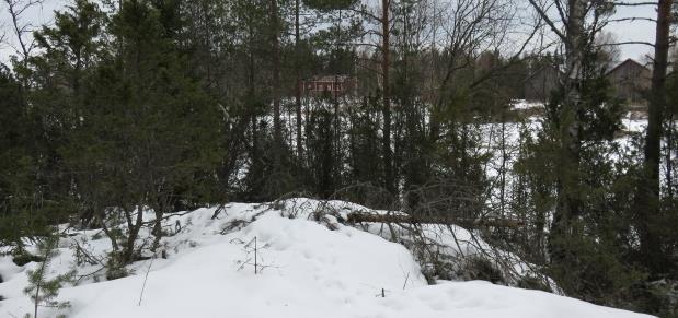 Sammallajiston pohjakerroksessa muodostavat yleiset seinä-, kynsi- ja metsäkerrossammalet. Rahka- ja karhunsammalet peittävät umpeutuneita metsäojia.