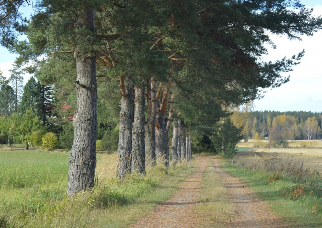 G 26 Pohjois-Paippisten osayleiskaava