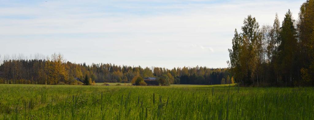M-alueille uusia rakennuspaikkoja on osoitettu 36 kpl. M MAA- JA METSÄTALOUSVALTAINEN ALUE.