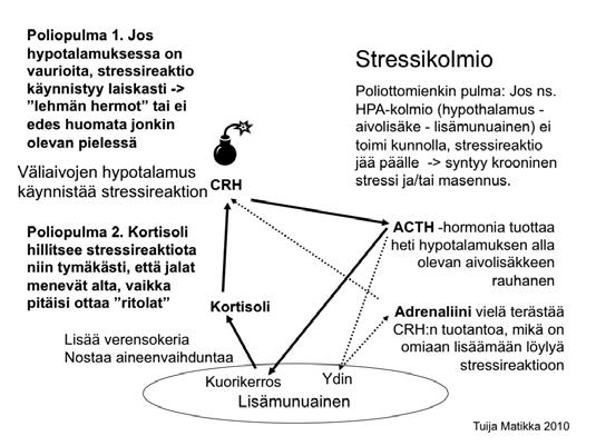 olla vahingoittuneita, jolloin niiden kyky tuottaa dopamiinia on voinut laskea.