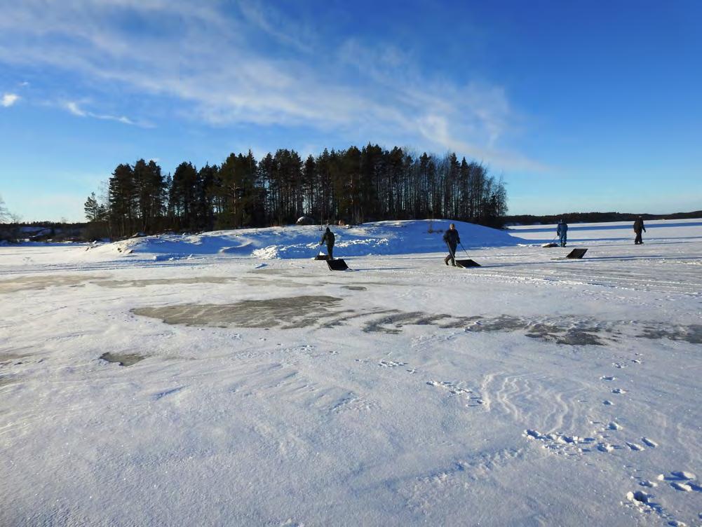 Saimaan Norppaklubi toimii 2017 Tammikuu Monet klubin jäsenet