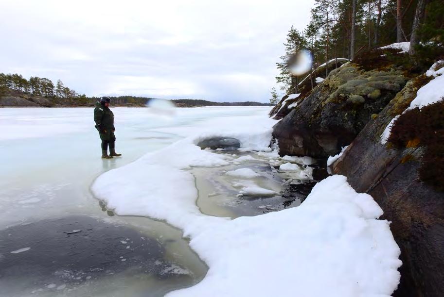 huhtikuu Monet yhdistyksen jäsenet osallistuivat pesälaskentaan eri puolilla