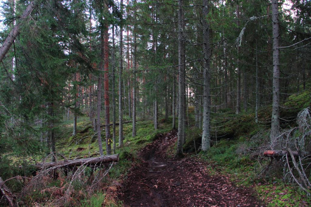 3. Tutkimusalue Tutkimusalue sijaitsee Pornaisten kunnan keskustaajaman eteläpuolella. Alue rajautuu itäosiltaan metsämaastoon, eteläosiltaan asutukseen ja länsiosiltaan golf-kenttä alueeseen.