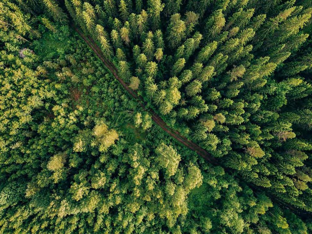 Radon suomalaisissa asunnoissa: esiintyminen,