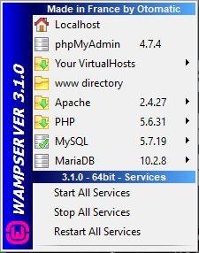10 Kuva 2. WampServerin valikko 3.2 WordPressin asentaminen Kun WampServer on asennettu, voidaan asentaa WordPress.