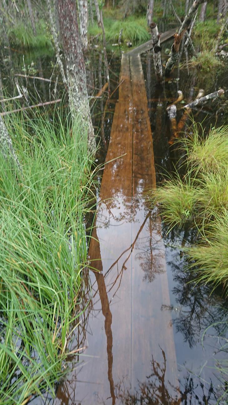 olivat tässä kohtaa vajonneet 15-20cm vedenpinnan alapuolelle. Onneksi lämpötila vielä sallisi pienen kahlaamisin, jotta pääsimme jatkamaan matkaa.