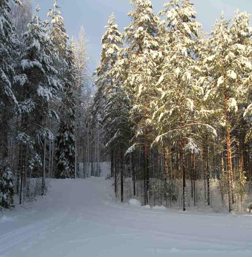 SUOMEN METSÄURHEILULIITON 72.