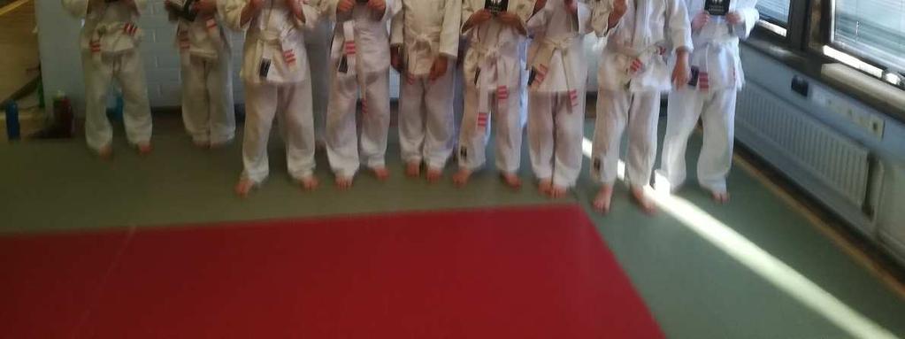 Myös graduointimaksu ja judopassi pysyivät samalla tasolla vastaten judoliiton suositushintaa.