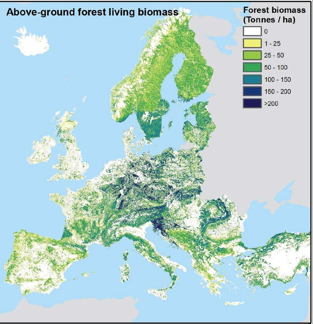 Euroopassa hiiltä Euroopassa metsien biomassaa 11,9 miljardia tonnia Euroopan pinta-ala (kar:a) 580