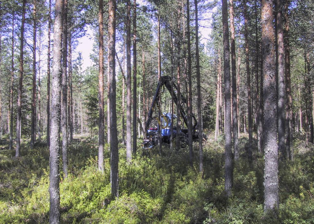 Carbon Oﬀset forestry biotalouden