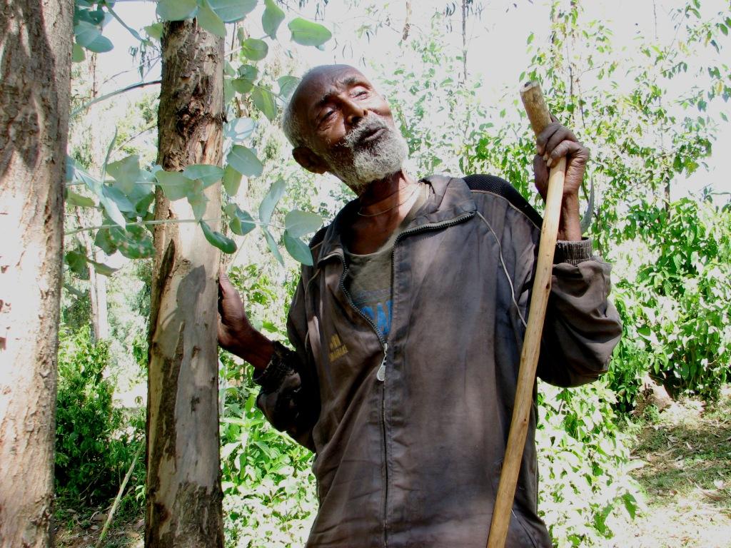 Farmer Minale Hailu in Ethiopia 2009-2010: A= 5,04 tn C/farm, B=