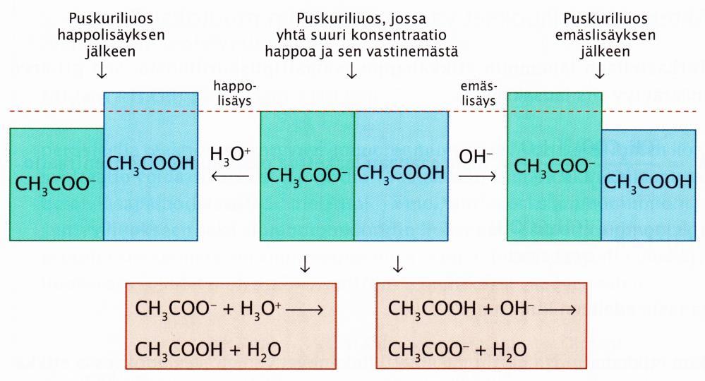 Reaktiossa siis muodostuu isää etikkahappoa ja asetaatti-ionien määrä hieman vähenee.