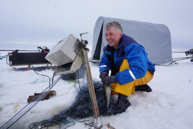 Ammattikalastajien määrä on puolittunut 2000- luvun aikana.