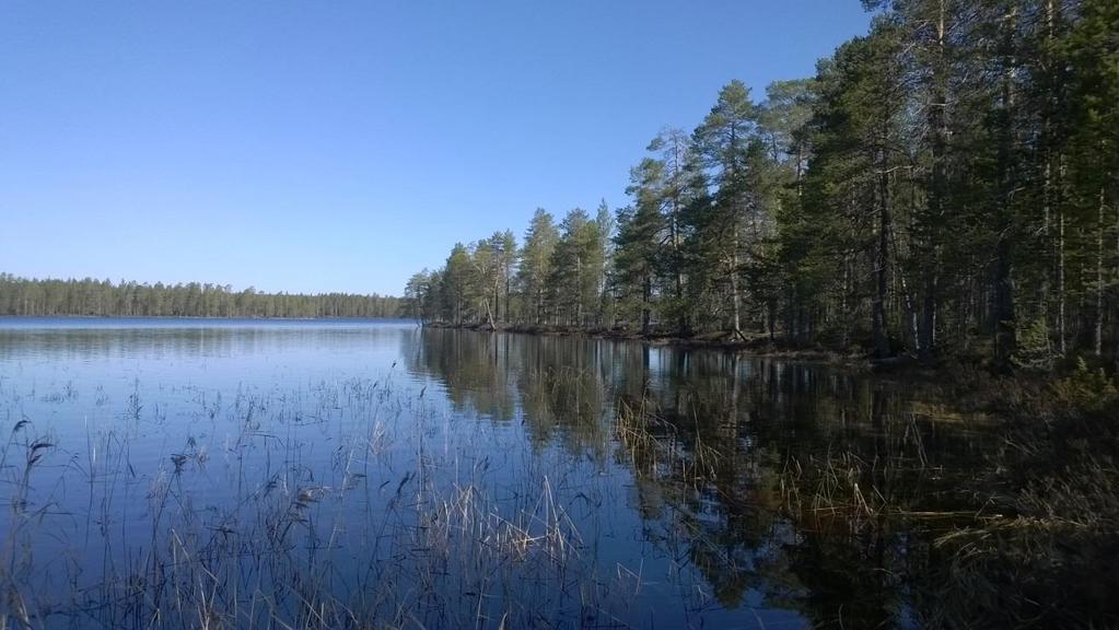 Kaavaselostus FCG