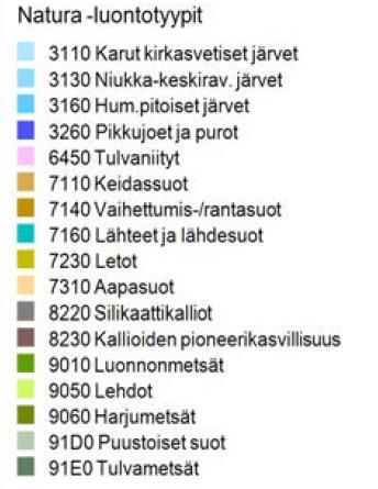 Kirkkaissa ja luonnontilaisissa järvi- ja puroreiteissä on elinvoimainen saukkokanta.