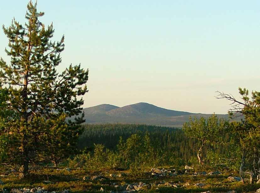 Kesäyön