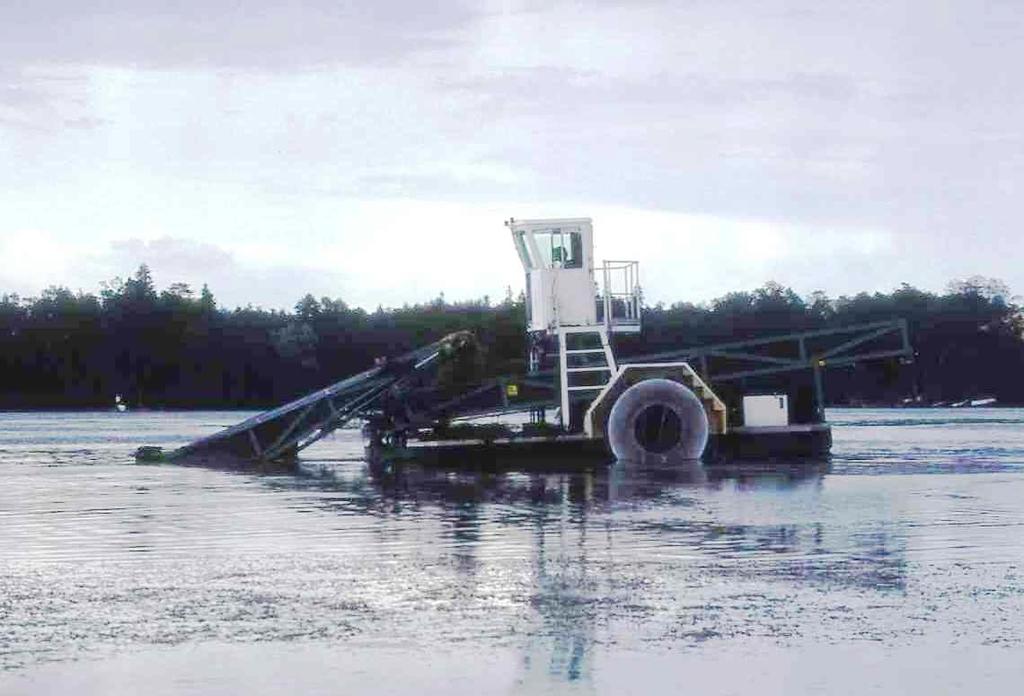 1990-luvun puolivälin jälkeen