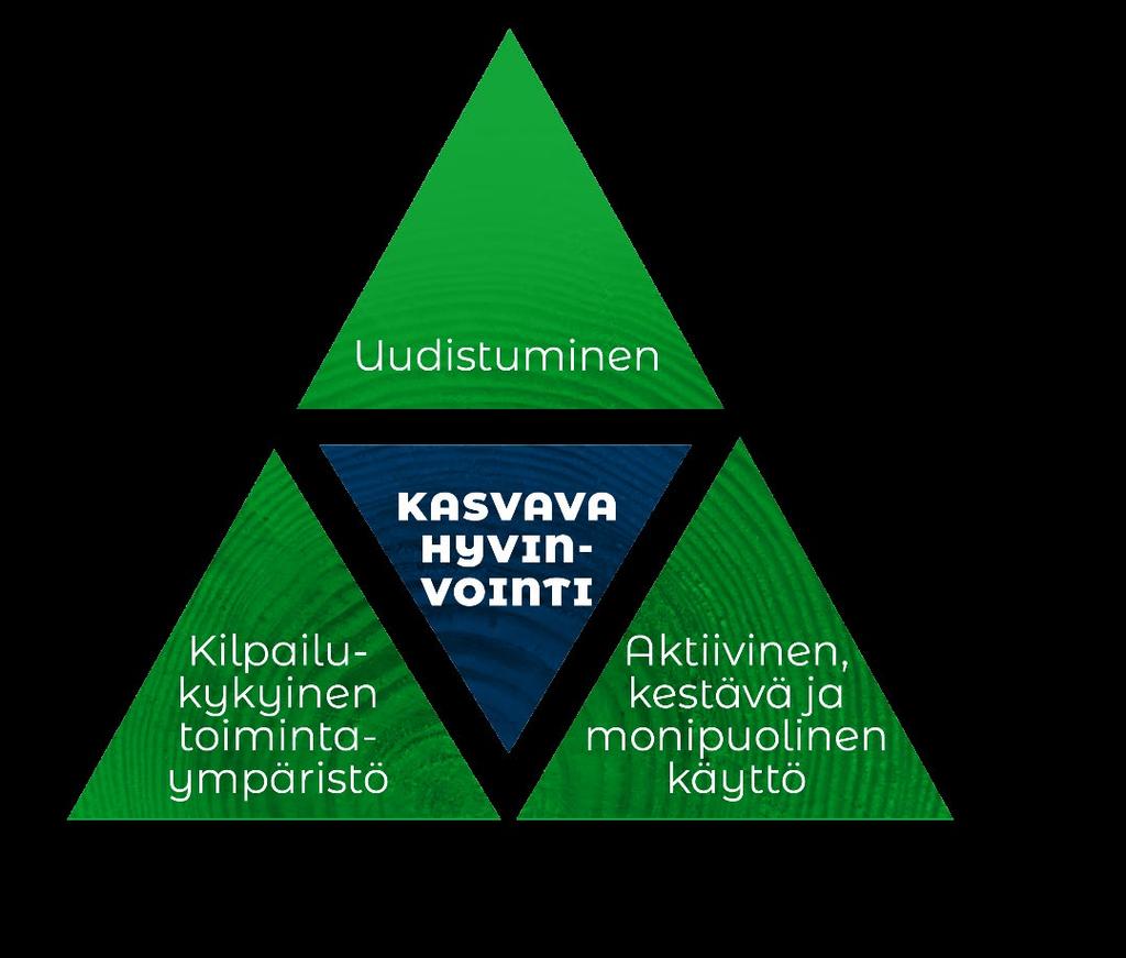 Kuva 2. Visio ja strategiset päämäärät muodostavat kolmion, jonka ytimessä on visiossa tavoiteltu kasvava hyvinvointi ja kärkinä toisiinsa linkittyvät strategiset päämäärät.