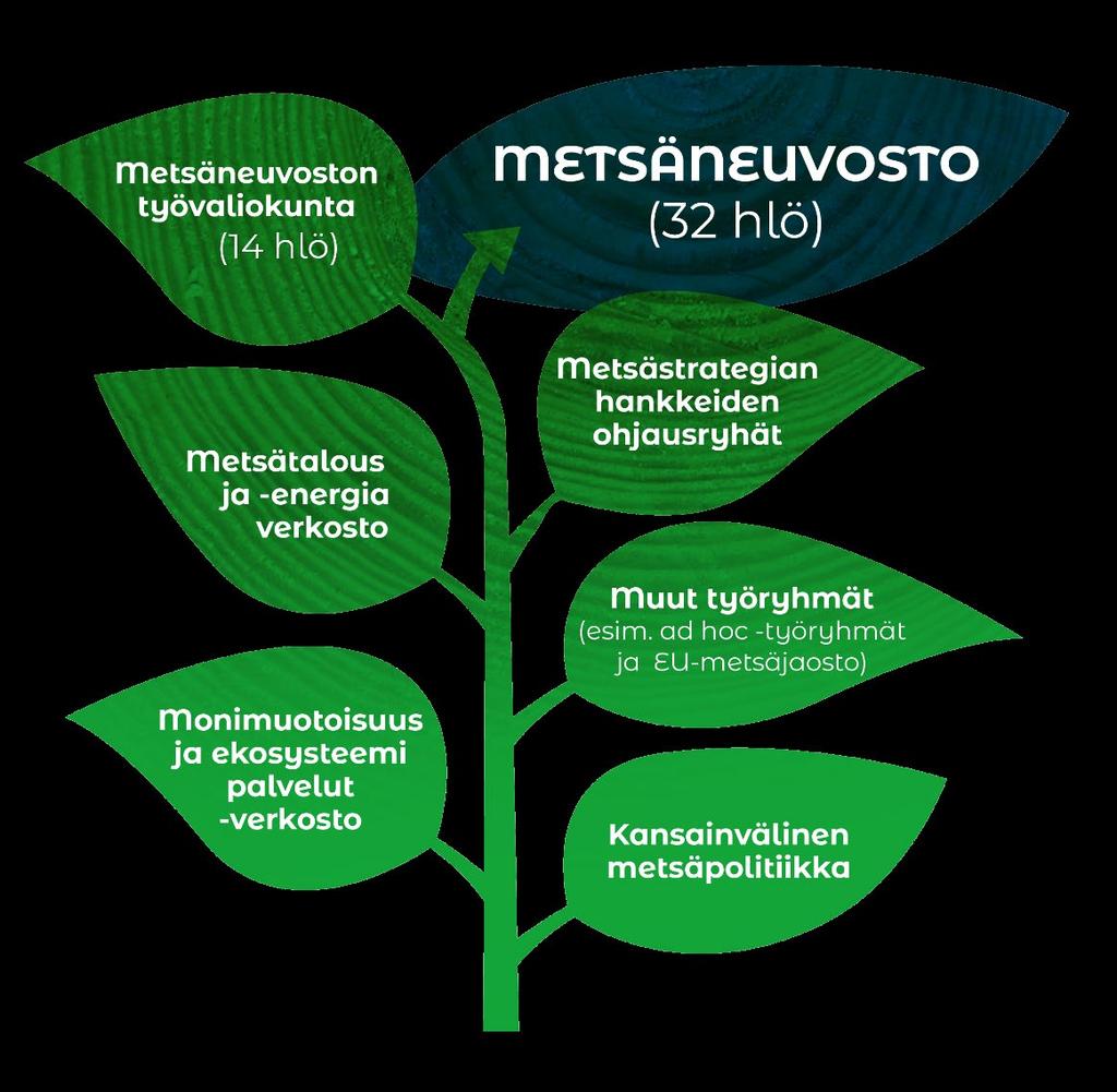 Päivitettyä kansallista metsästrategiaa toteutetaan vuosina 2019 2025 ottaen huomioon ohjelman seurannasta, väliarvioinneista ja hallitusohjelmien linjauksista tulevat muutostarpeet.