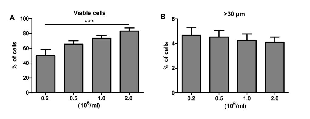 31 Figure 11. Cell viability (A) and percentage of cell aggregates (>30 µm) (B) for cells with different concentrations. ***P<0.001. 5.2.