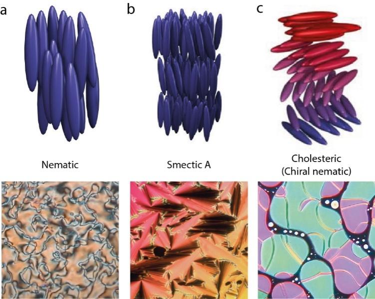 1.6.2 Liquid Crystalline Self-Assembly Liquid crystals (LCs) are self-assembled molecules or particles that have the properties of liquids and solids.