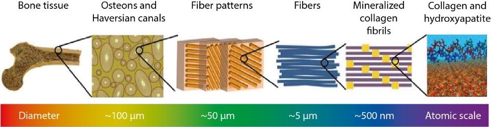 71,84 86 When stressed, the stress transfers to large areas in the material preventing catastrophic crack propagation.