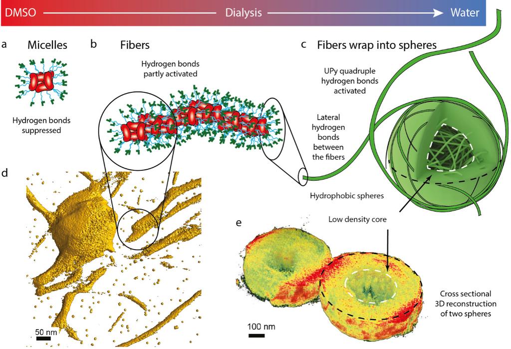 Figure 19.