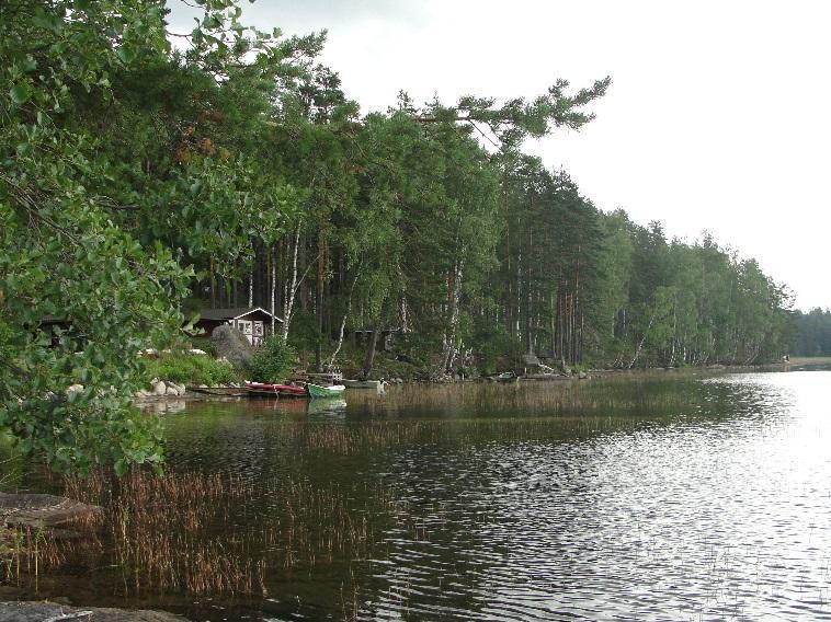 pieniin ja saman syvyisiin lampiin verrattuna. Saarijärven veden laatu oli näytteenoton mittausten perusteella erinomaista.