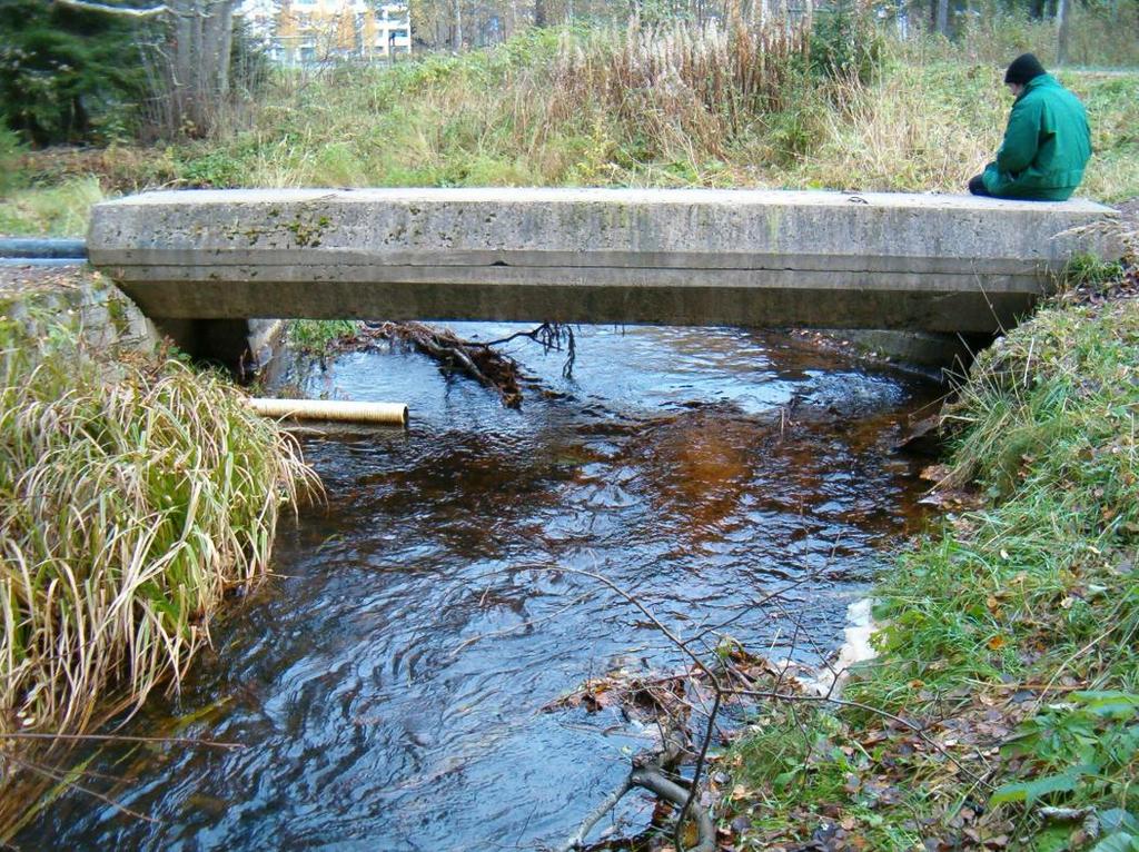 Kuva 7. Ylikulkusilta kohteella 4. Sillan alla pohja-aines kutusuoraksi kelpaavaa.