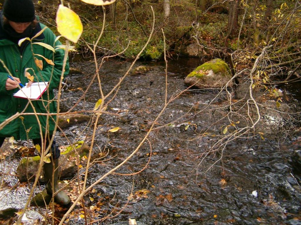 Kuva 20 Kohteen 9 matalampaa osaa paalulla 040. Kohde ei vaadi toimenpiteitä. Kohde 10 Alueen kuvaus Alue sijaitsee noin 100m kohteen 9 yläpuolella. Koskialueen pituus 45m ja leveys 4 8m.