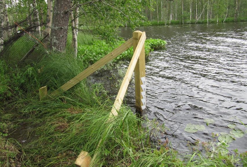 Veden korkeuden mittauspiste rakennettiin Panumajärvelle kesällä 2015. Kuva Aili Jussila.